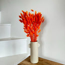 Botte fleurs séchées Lagurus Orange foncé