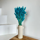 Botte fleurs séchées Lagurus Turquoise