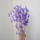 Botte lagurus violet clair - fleurs séchées - Flowrette