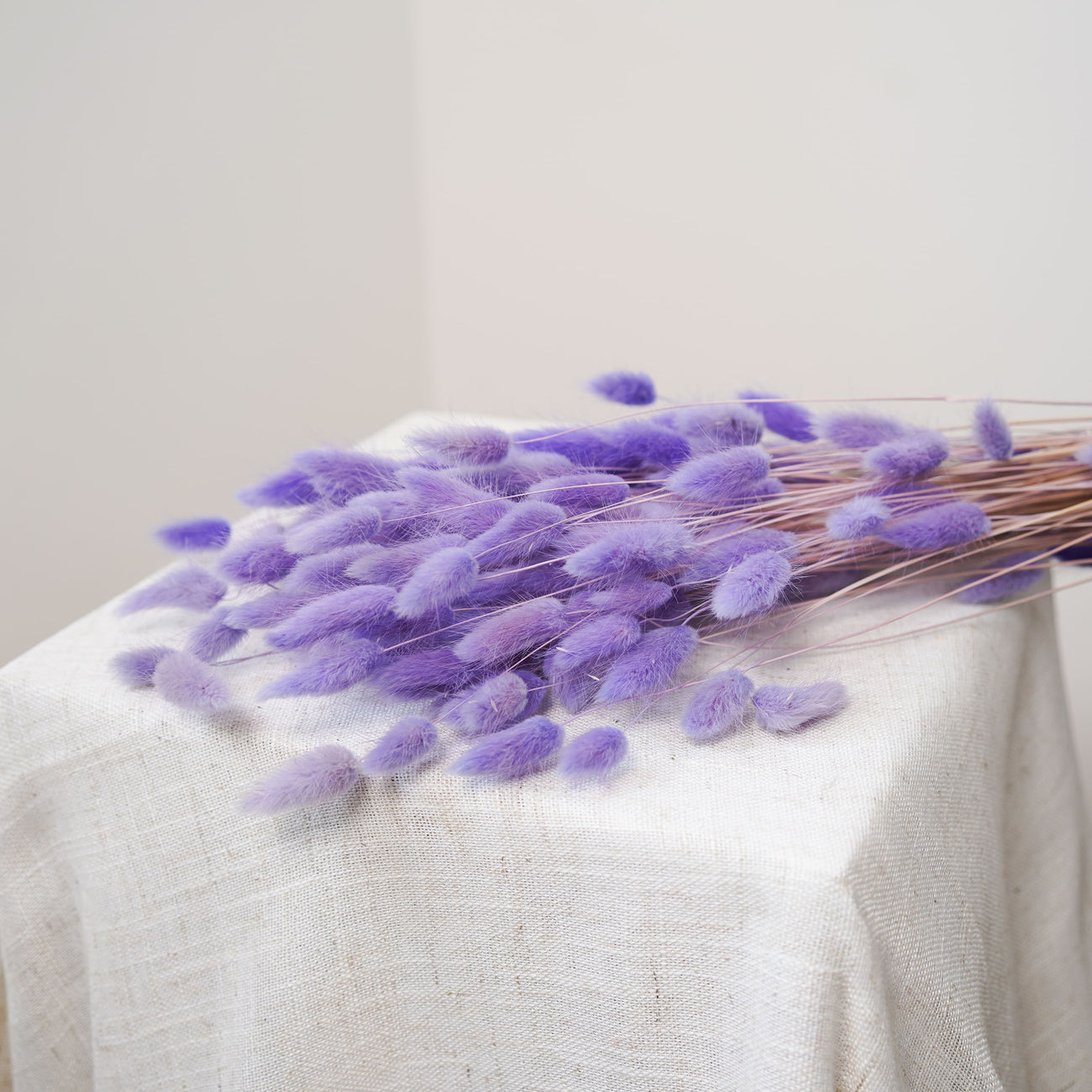 Botte lagurus violet clair - fleurs séchées - Flowrette