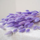 Botte lagurus violet clair - fleurs séchées - Flowrette