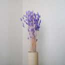 Botte lagurus violet clair - fleurs séchées - Flowrette