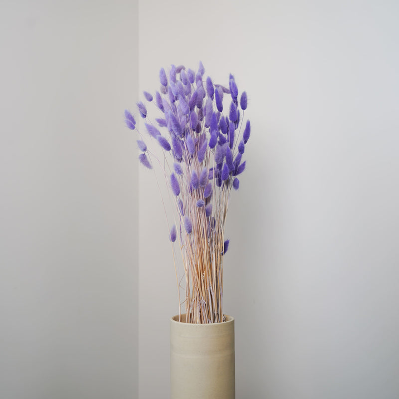 Botte lagurus violet clair - fleurs séchées - Flowrette