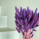 Botte fleurs séchées Lagurus Violet