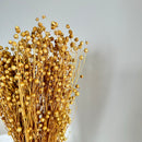 Botte fleurs séchées Lin