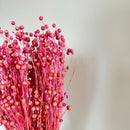 Botte fleurs séchées Lin Lilas