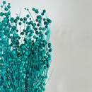 Botte fleurs séchées Lin Turquoise