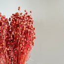 Botte fleurs séchées Lin Vieux rose