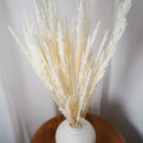 Botte Mappetta blanchi - Flowrette