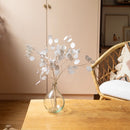 monnaie-du-pape-papier