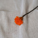 Oeillet orange stabilisé