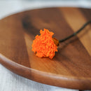 Oeillet orange stabilisé