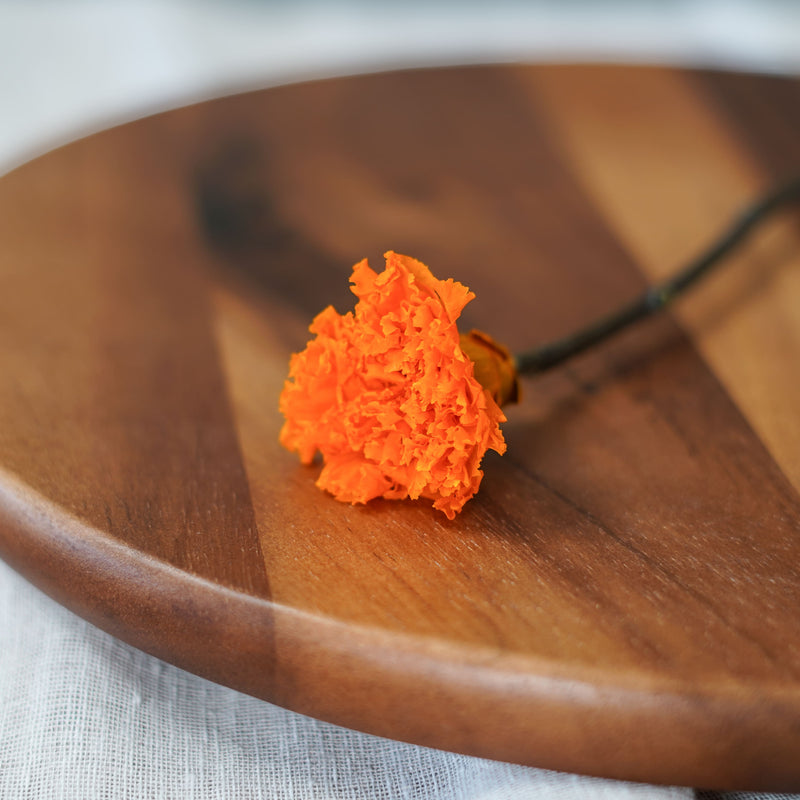 Oeillet orange stabilisé