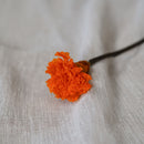 Oeillet orange stabilisé