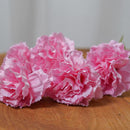 Œillet rose clair artificiel à la tige - Flowrette