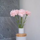 Oeillet artificiel rose poudré, détail des pétales frangés aux tons pastel - Flowrette