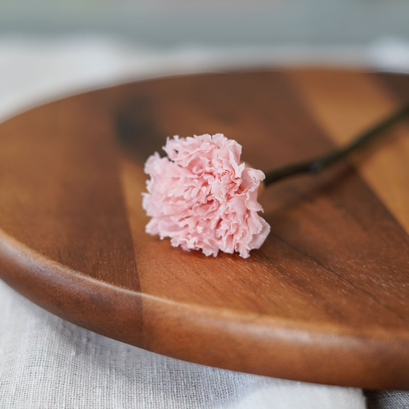 Oeillet rose stabilisé