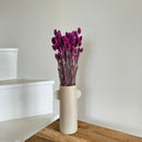 Botte fleurs séchées Phalaris violet