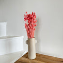 Botte fleurs séchées Phalaris Vieux rose