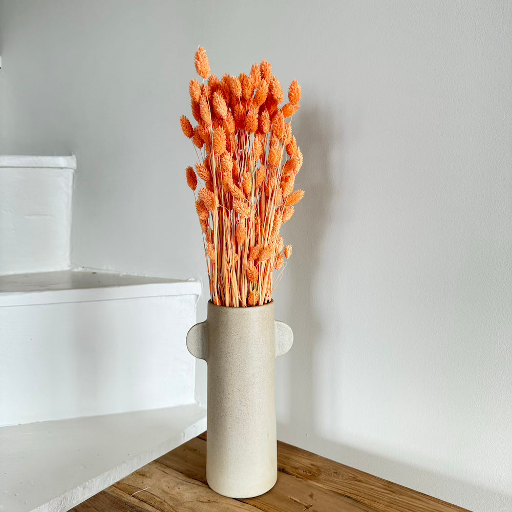 Botte fleurs séchées Phalaris Pêche