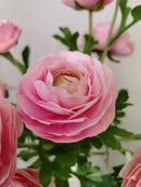 Renoncule rose poudré en composition florale décorative - Flowrette