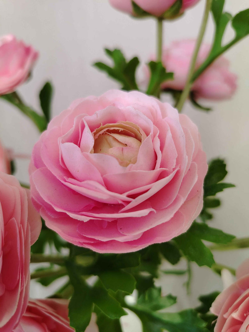 Renoncule rose poudré en composition florale décorative - Flowrette