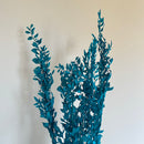 Botte fleurs stabilisées Ruscus Turquoise