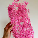 Botte fleurs stabilisées Ruscus Lilas