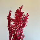 Botte fleurs stabilisées Ruscus Rouge