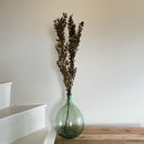 Botte fleurs stabilisées Ruscus Vert olive