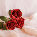 Rose rouge en papier
