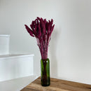 Botte fleurs séchées Sétaire Bordeaux