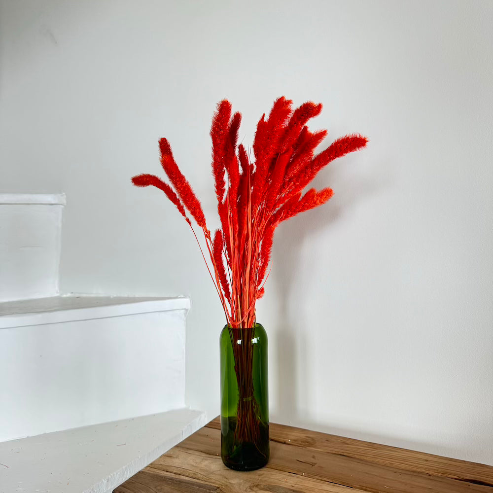 Botte fleurs séchées Sétaire Orange foncé