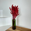 Botte fleurs séchées sétaire rouge