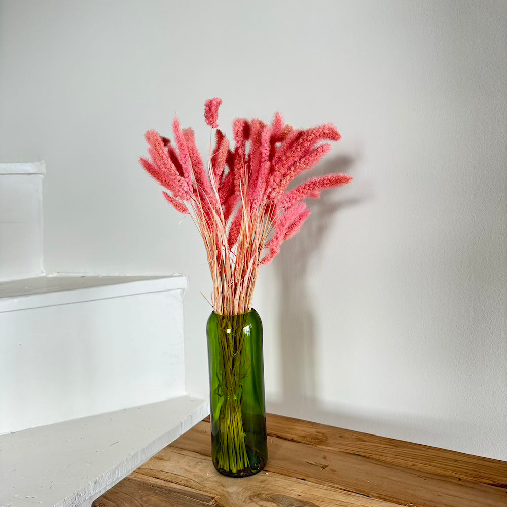 Botte fleurs séchées Sétaire Vieux rose