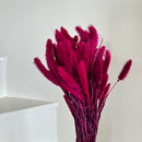 Botte fleurs séchées Sétaire Magenta
