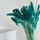 Botte fleurs séchées Sétaire Turquoise