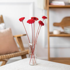 Botte Achillée rouge en fleurs séchées, vue d'ensemble - Flowrette