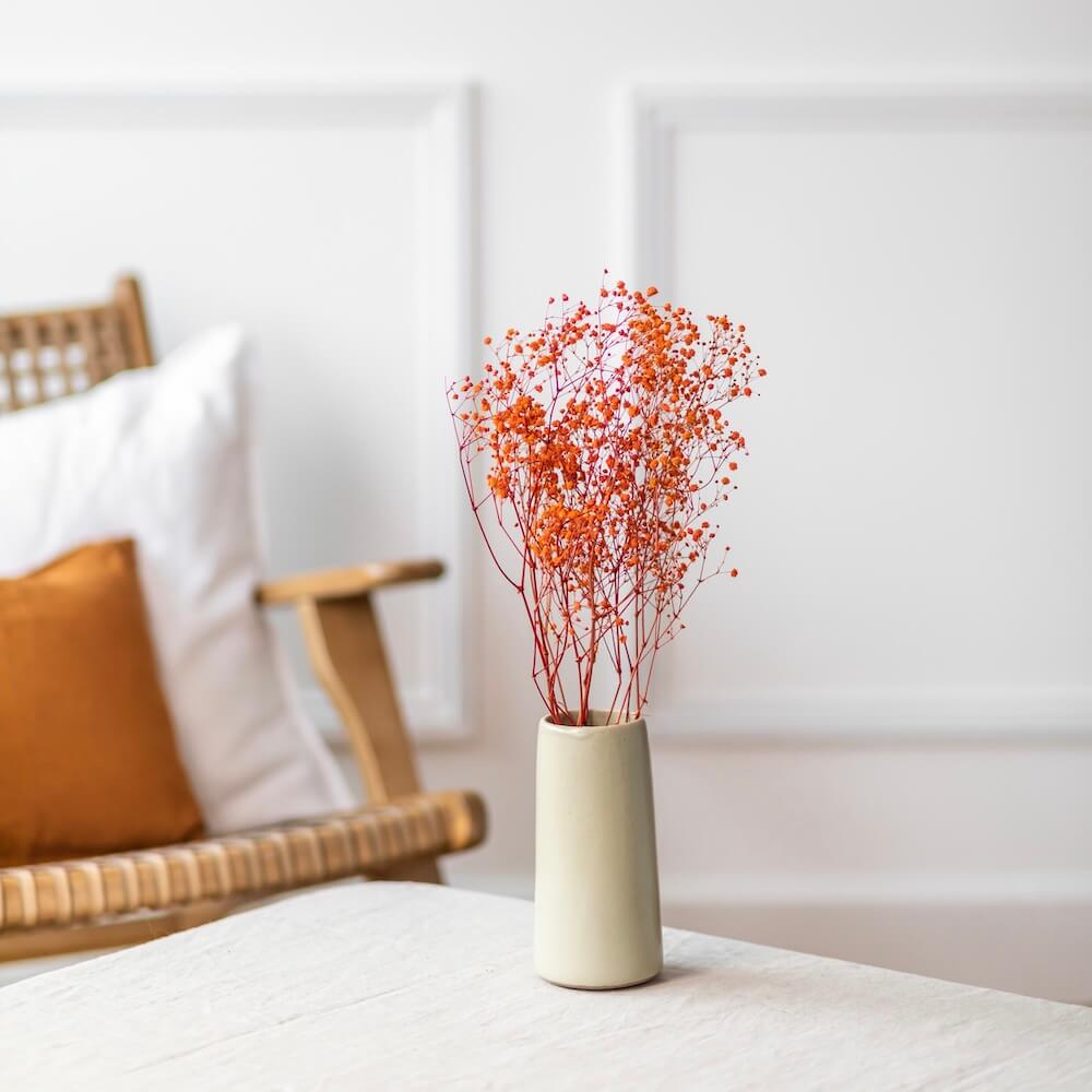 Botte de gypsophile orange séché - Flowrette