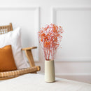 botte-fleurs-sechees-gypsophile-orange-flowrette