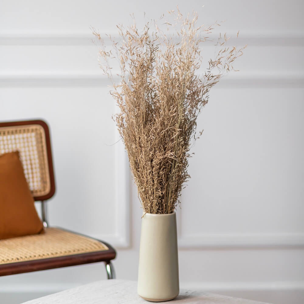 Botte de mini grass naturelle séchée, vue d'ensemble - Flowrette