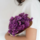 flowrette-botte-fleurs-sechees-statice-fuchsia