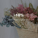 broom-bloom-blanc-botte-fleurs-sechees