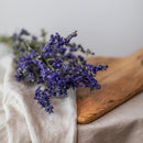 delphinium-bleu-botte-fleurs-sechees