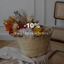 miscanthus-botte-fleurs-sechees