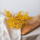 botte-fleurs-sechees-gypsophile-jaune-flowrette