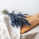 lavande-bleue-botte-fleurs-sechees