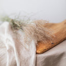 miscanthus-botte-fleurs-sechees