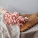 botte-fleurs-sechees-phalaris-rose-poudre-flowrette