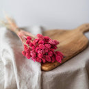 phalaris-rose-fonce-botte-fleurs-sechees